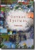 DVD � ������ �������. �����-���.